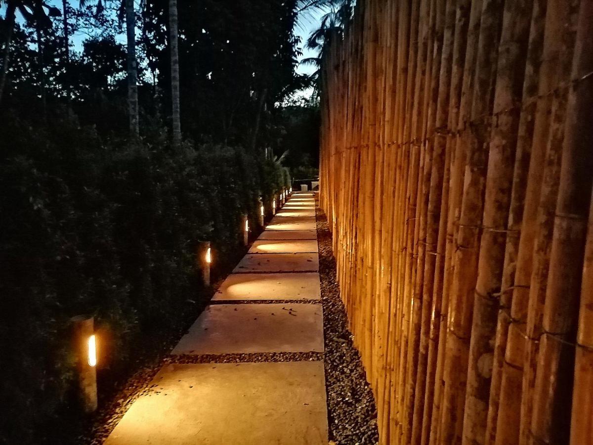 Anita Dream House Apartment Khao Sok National Park Exterior photo